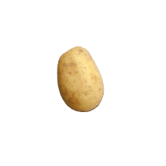 [LINEスタンプ] This is a potato