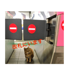 [LINEスタンプ] 堀ノ内駅猫 江戸