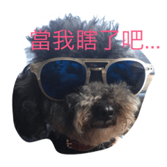 [LINEスタンプ] Dog＆Friend