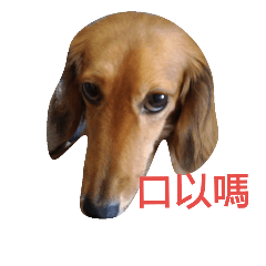 [LINEスタンプ] Happy dog good dodo