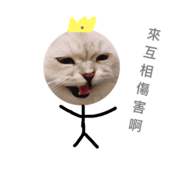 [LINEスタンプ] Just a cat is talking