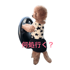 [LINEスタンプ] I'm vivi chan.