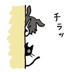 [LINEスタンプ] ボーダーコリーヒューマwithジジ