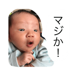 [LINEスタンプ] わたぽ