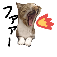 [LINEスタンプ] Good cat！