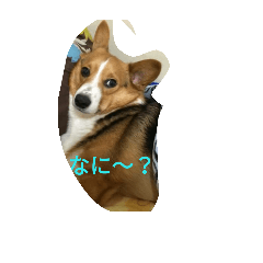 [LINEスタンプ] genkidog