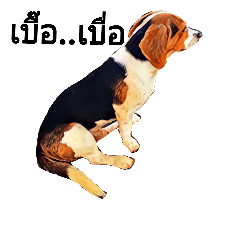 [LINEスタンプ] Makub busy2(Thai)