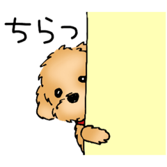 [LINEスタンプ] ハッピーわんこ！トイプードル2