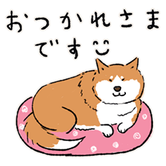 [LINEスタンプ] Every Day Dog 柴犬 日本語