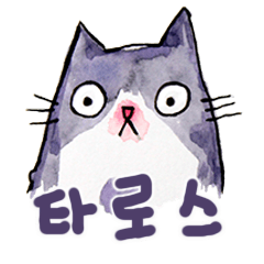 [LINEスタンプ] Taros Cat-Korean