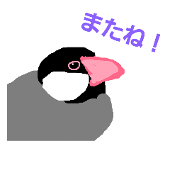 [LINEスタンプ] かわいい小鳥文鳥スタンプ