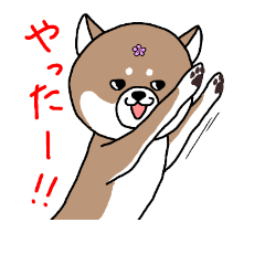 [LINEスタンプ] 豆柴あんず 2