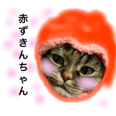 [LINEスタンプ] 福田家のにゃんず