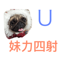 [LINEスタンプ] The feelings of Pag Ugly little Sister