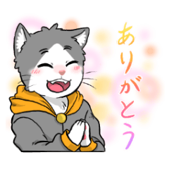 [LINEスタンプ] カラフルパーカーねこ