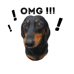 [LINEスタンプ] TJ the Lovely Dachshund