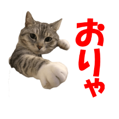 [LINEスタンプ] たまの日常4