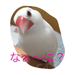 [LINEスタンプ] ハルちゃんの日常③