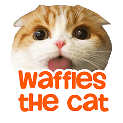 [LINEスタンプ] Waffles the Cat