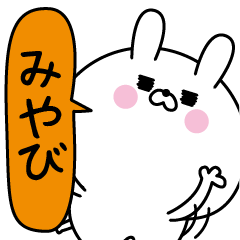 [LINEスタンプ] みやび超専用★名前なまえスタンプ