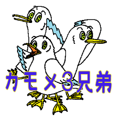 [LINEスタンプ] Kamome 3 kyodai