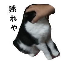 [LINEスタンプ] ロキさん