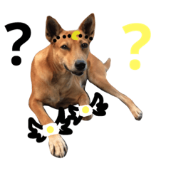 [LINEスタンプ] Magic Dogs