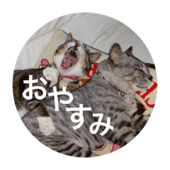 [LINEスタンプ] きんもも