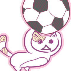 [LINEスタンプ] サッカー猫の画像（メイン）