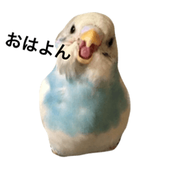 [LINEスタンプ] セキセインコの方言