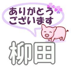 [LINEスタンプ] 柳田「やなぎだ」さん専用。日常会話