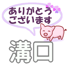 [LINEスタンプ] 溝口「みぞぐち」さん専用。日常会話