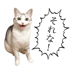 [LINEスタンプ] つるちゃんスタンプ2