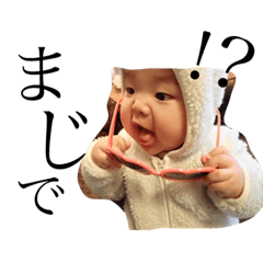 [LINEスタンプ] こーたん_no1