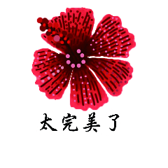 [LINEスタンプ] Red Hibiscus Flower drawing