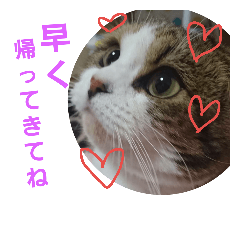 [LINEスタンプ] ルナちゃんです