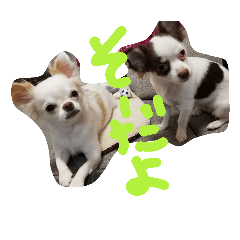 [LINEスタンプ] doublechiwawa.e