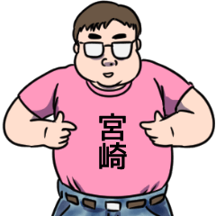 [LINEスタンプ] 宮崎リスペクト