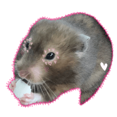 [LINEスタンプ] Hos Hamsters