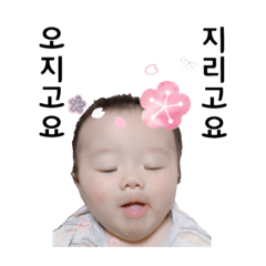 [LINEスタンプ] KOREA baby