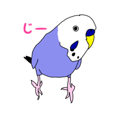 [LINEスタンプ] インコ 2