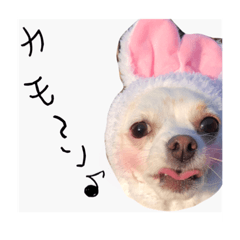 [LINEスタンプ] Pleasant friends^ ^