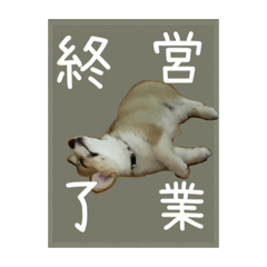 [LINEスタンプ] Puppy Mone