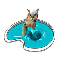 [LINEスタンプ] Tabby Cats Life