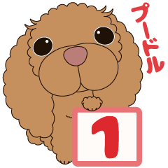 [LINEスタンプ] 鼻ピンクなプードル犬♪1