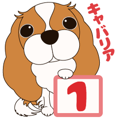 [LINEスタンプ] キャバリア犬♪ブレンハイム（白少なめ）1