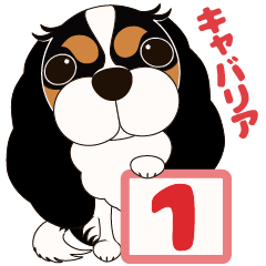 [LINEスタンプ] キャバリア犬♪トライカラー1