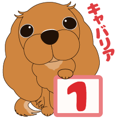 [LINEスタンプ] キャバリア犬♪ルビー1