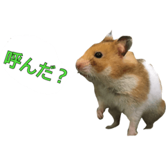 [LINEスタンプ] ハムスターモナカの画像（メイン）