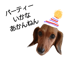 [LINEスタンプ] ダックス、ヨーキー、たまにネコ 2